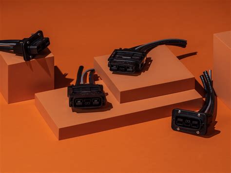 Lessons Learned From Japan, China, and India