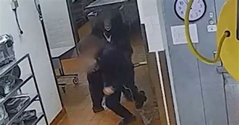 Image result for Bear Attacks Washing Machine