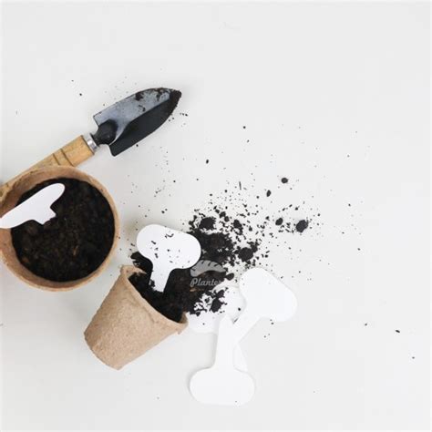 Jual Label Tanaman Putih Awet - Kab. Bogor - planteria_indonesia ...