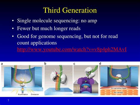 Image result for High Throughput Sequencing Applications