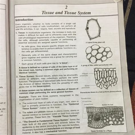 Please send me tissue chapter from biology class 9 S. chand book ...