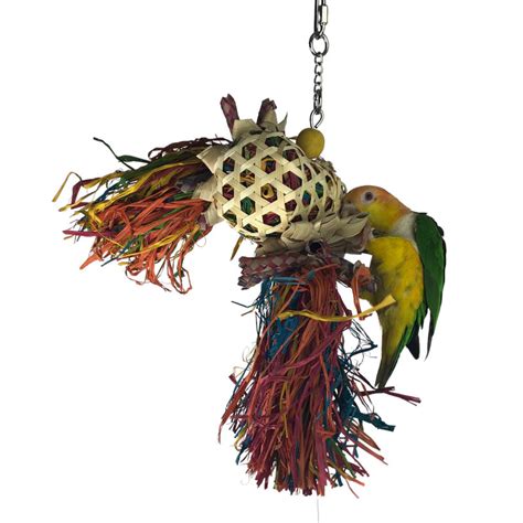 Image result for Java Afro