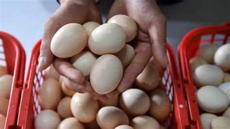 鸡蛋价格因何快速上涨？一个多月鸡蛋价格上涨了约33%，专家有话说！_中国网