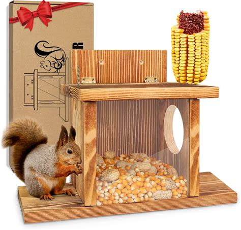 How to Keep Squirrels OFF Bird Feeders (8 Proven Ways) - Squirrel ...