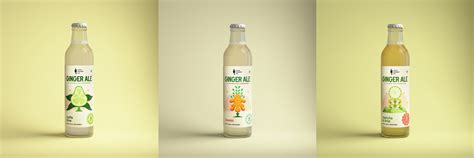 Ginger Ale Variety Pack [Pack of 4] — Local Ferment Co