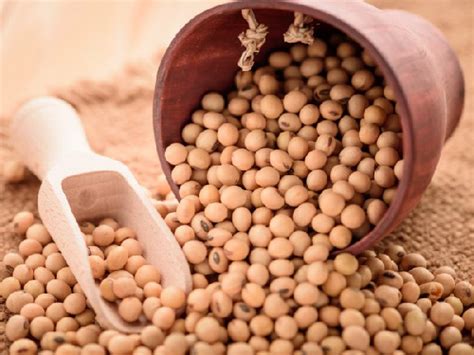 Ghana to become lead exporter of soybean by 2030 - Food and Agric Minister