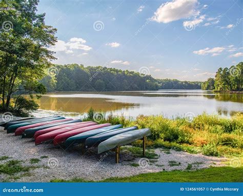 Big Lake at William B. Umstead State Park Stock Image - Image of ...