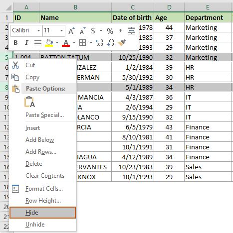 Image result for Excel Conditional Hide Columns
