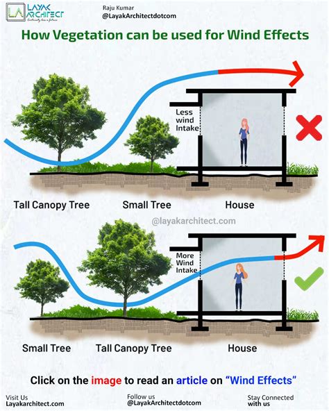 How Vegetation can be used to increase wind effect | Passive house design, Sustainable ...