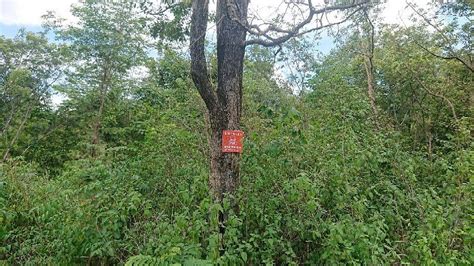 KHAO PHRA WIHAN NATIONAL PARK (2026) All You Need to Know BEFORE You Go ...