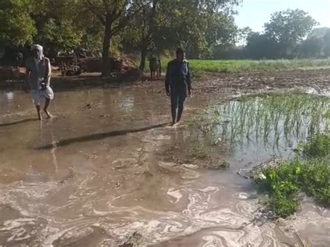 A gap in the canal passing near Radhanpur's Bhilot, the standing crops ...