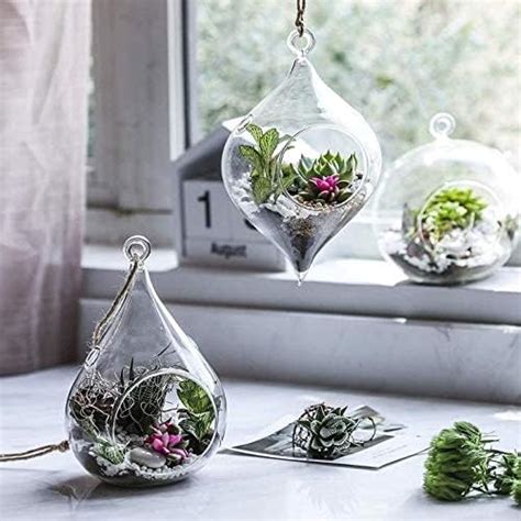 Urban Moon Hanging Glass Plant Terrariums, Glass Orbs Air Plants, Tea ...