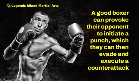 Boxing Counter Attacks 的图像结果