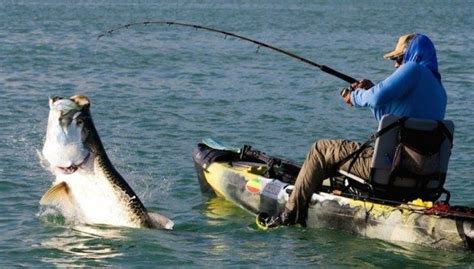 Image result for First Fishing Rod
