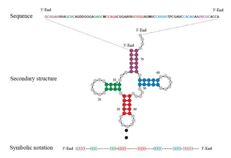 Genomics Course Goals