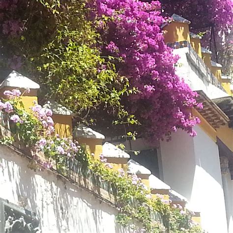 BE SEPHARAD! (2026) All You Need to Know BEFORE You Go (with Photos ...