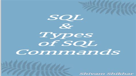 SQL DDL DML DCL TCL 的图像结果