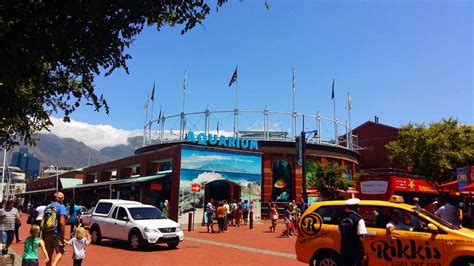 Two Oceans Aquarium, Cape Town