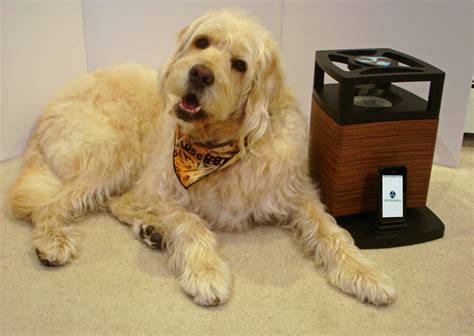 Kuvatulokset haulle bocker