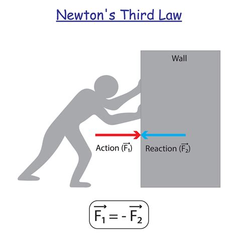 Newton's Third Law 的图像结果