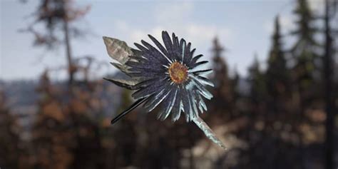 Image result for Fallout 76 Spring Location