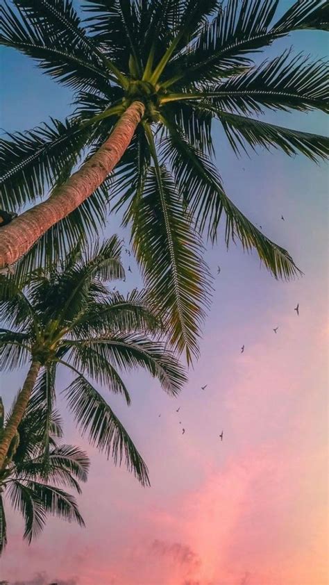 Image result for Wallpaper BG for Programmers JavaScript HTML/CSS