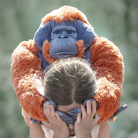 Contact Us – Wild Republic India