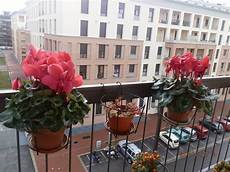 viridea vasi fioriere terrazzo vasi e fioriere fioriere per il terrazzo viridea vasi fioriere terrazzo vasi e fioriere fioriere per il terrazzo