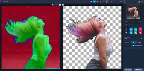 Image result for How to Use Topaz Mask AI
