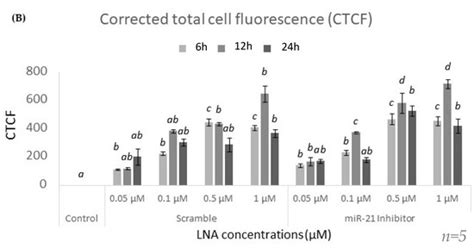 BPA Decreases PDCD4 in Bovine Granulosa Cells Independently of miR-21 ...