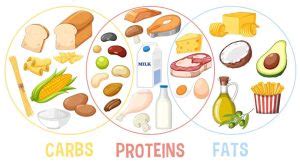 Image result for Complementary Foods