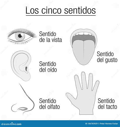 Roll Eyes In Spanish Meaning at Jaxon Cockerill blog