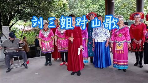 三月三赶赴一场畲族文化节：对山歌、品乌饭宴-新闻中心-温州网