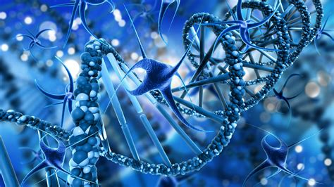 Nanotechnology's breakthrough: diagnosing and curing cancer | Meer