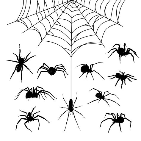 Premium Vector | Vector collection of silhouettes of spiders and cobweb
