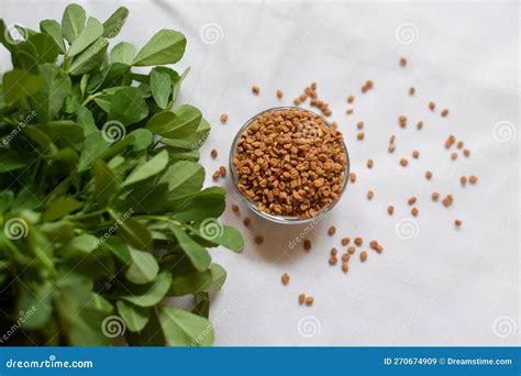 Methi or Fenugreek Seeds in a Bowl and in the Background are Methi Leaves Stock Image - Image of ...