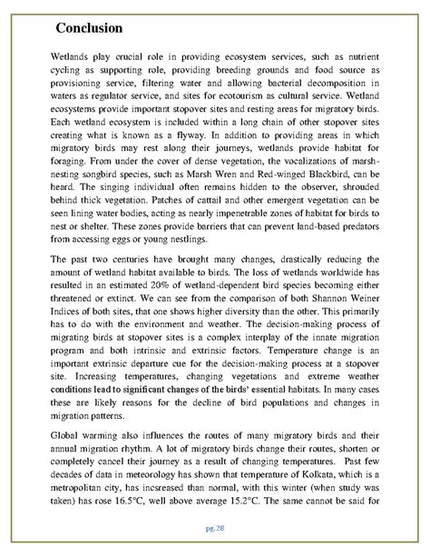 Conclusion - project Work - pg. 28 Wetlands play crucial role in ...
