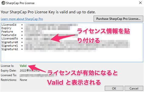 SharpCap Pro 的图像结果