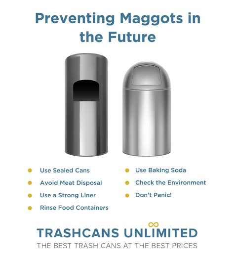 Maggots in Trash?: How to Easily Manage a Maggot Infestation in Your Trash Can - Trash Cans ...