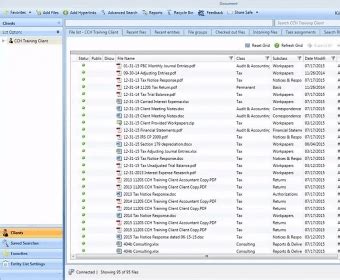 Image result for CCH Access Tutorial