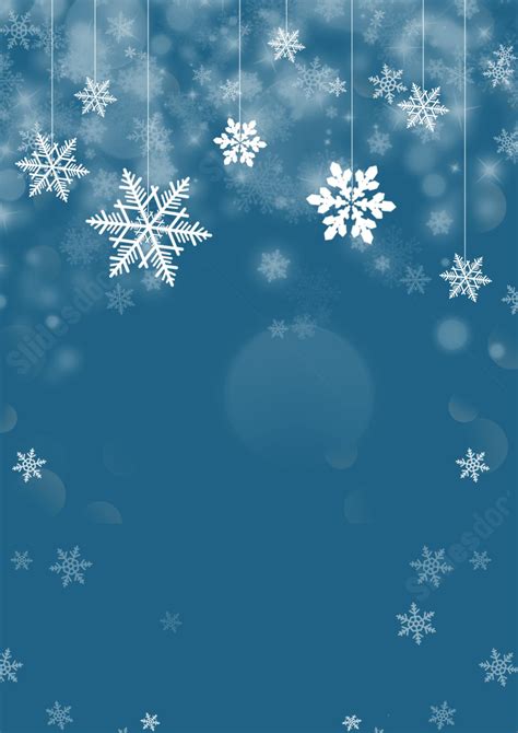 Winter Wonderland Lavender Border