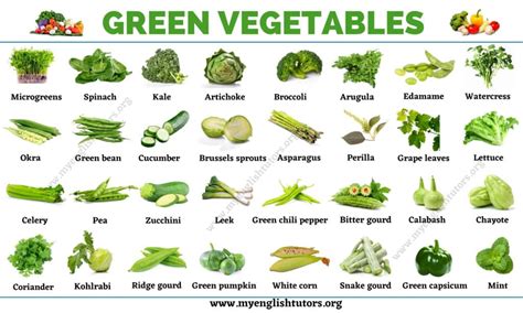 Green Vegetables: List of 31 Types of Vegetables that Have Green Color - My English Tutors