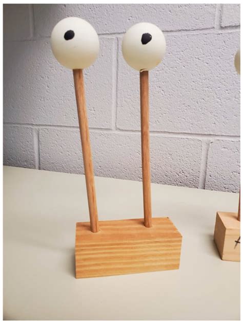 Assessment of the Effects of Stocking Density on Laying Hens Raised in ...