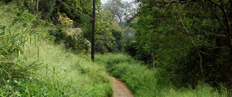 Download wallpaper 2560x1080 trail, trees, grass, pole, wires dual wide ...