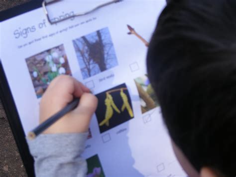 Signs of Spring EYFS 的图像结果