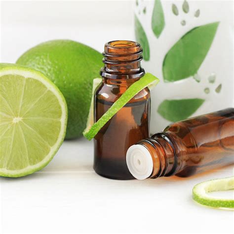 Buy Fat Burning Oil Online in Wholesale Price | Fat Burning Oil Bulk ...