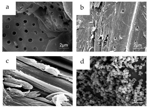 Formation of Chitosan/Sodium Phytate/Nano-Fe3O4 Magnetic Coatings on ...