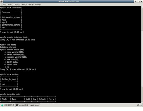 Windev MySQL Tutorial 的图像结果