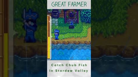 Catch Chub Fish STARDEW VALLEY - YouTube