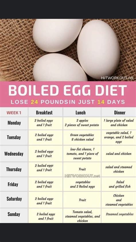 egg diet for weight loss